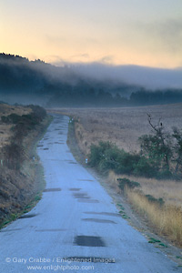 Picture: Fog at sunrise over rural country backroad, near Pescadero, San Mateo County coast, California