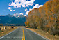 Image: Fall colors on trees along country road below mountains, Colorado