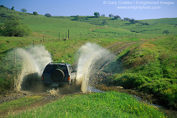 Image: 4WD Sport Utility Vehicle (SUV) crossing stream on dirt road below green hills in spring, Mariposa County, California
