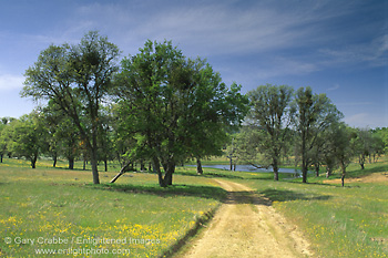 Image: Dirt road through green grass field and oak trees, rural Santa Clara County, California