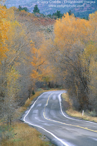 Photo: Fall colors on trees along curved two lane road near Telluride, Colorado