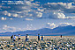 Tourists walking at the Devils Golf Course, Death Valley National Park, California