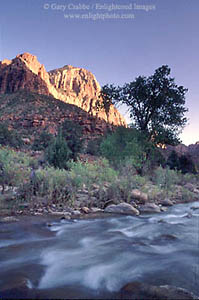 Sunset light on Bridge Mountain over Virgin River, Zion National Park, Utah