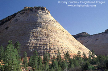 Afternoon light on Checkerboard Mesa, Zion National Park, Utah