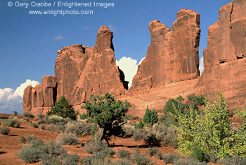 Eroded sandstone spires near the Three Gossips, Arches National Park, Utah