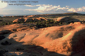 Sandstone formations along the Delicate Arch Trail, Arches National Park, Utah