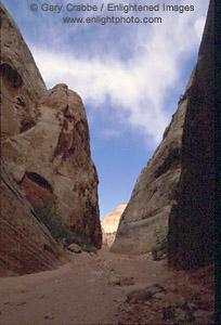 The Narrows, Grand Wash, Capitol Reef National Park, Southern Utah