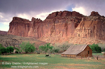 Barn and Pasture beneath red rock cliffs at Fruita, Capitol Reef National Park, Southern Utah