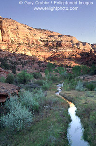 Side stream at Calf Creek, Grand Staircase - Escalante National Monument, Utah