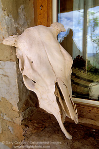 Photo: Cow skull on stone window sill, Valley of the Gods Bed & Breakfast Inn, Valley of the Gods, Utah