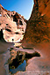 Image: Hiker and water pool in narrow canyon, Red Cliffs Recreation Area, near St. George, Utah's Dixie, Utah