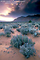 Image: Storm clouds at sunset over the high desert, near St. George, Utah's Dixie, Utah