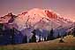 Sunrise light on glacier covered Mount Rainier Volcano, Mount Rainier National Park, Cascade Mountain Range, Washington