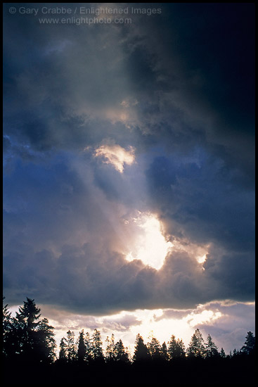 Photo: Sunbeams at sunrise through hole in dark storm clouds over trees, Grand Teton National Park, WYOMING