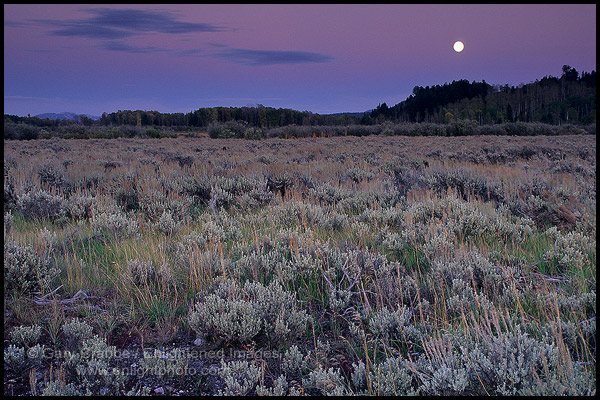 Harvest Full Moon moonrise, Grand Teton National Park, Wyoming
