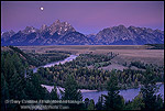 Picture of Fall colors along the Snake River at Oxbow Bend, below Mount Moran, Grand Teton National Park, Wyoming 