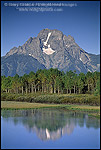 Mount Moran reflected in Clear blue sky and water of the Snake River at Oxbow Bend, Grand Teton National Park, Wyoming
