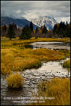 Picture of Pond and stream in meadow at Grand Teton National Park, Wyoming 