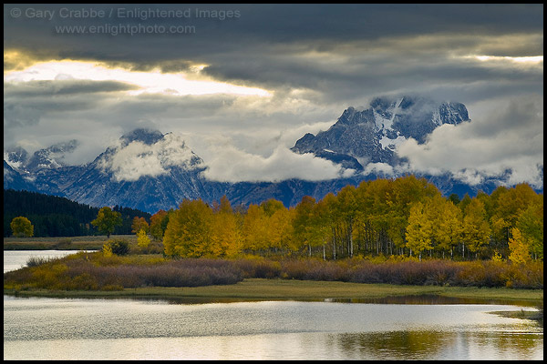 Aspen trees and fall storm clouds over Mount Moran, at Oxbow Bend, Snake River, Grand Teton National Park, Wyoming