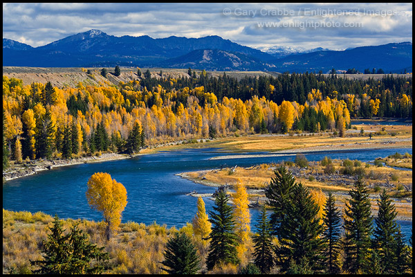 Photo: Fall colors on aspen and cottonwood trees along the Snake River, Grand Teton National Park, Wyoming