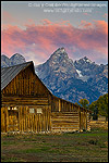 Picture of Pink clouds at dawn over mountains, old wooden barn, and trees in Fall, along Mormon Row, Grand Teton National Park, Wyoming
