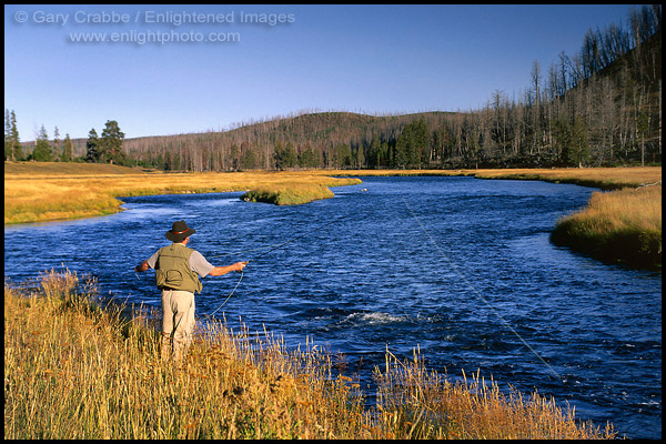 Photo: Fly-fisherman working a bend in the Madison River, near West Yellowstone, Yellowstone National Park, Wyoming