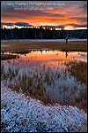 Picture: Stormy autumn sunrise reflected in pond near Midway Geyser Basin, Yellowstone National Park, Wyoming