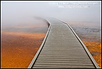 Picture: Tourist boardwalk and steam over the fragile ground at the Grand Prismatic Spring, Midway Geyser Basin, Yellowstone National Park, Wyoming