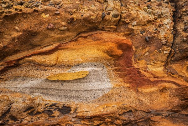 Photo: Rock Detail, Point Reyes National Seashore, Marin County, California