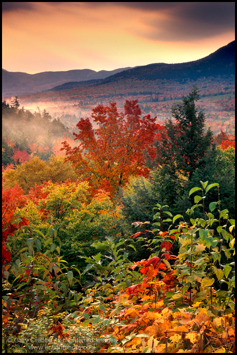 Image: Fall colors in the White Mountains, New Hampshire