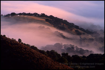 Photo: Morning fog over hills from Fremont Peak, near Hollister, California