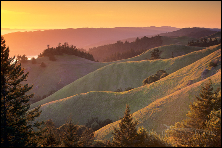 Image: Sunset along the green hills of Bolinas Ridge in Spring, Mount Tamalpais State Park, Marin County, California