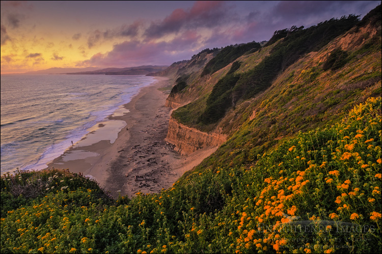 Image: Sunset over San Gregorio State Beach, San Mateo County coast, California