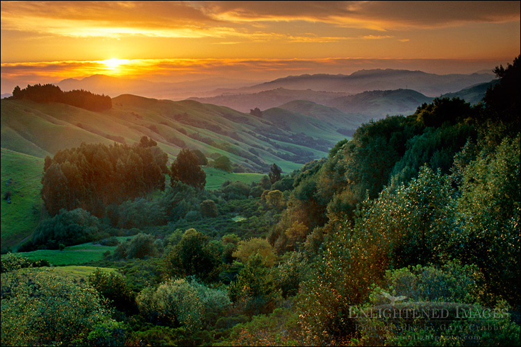 Image: Spring sunrise over green hills, near Orinda, Californiaa