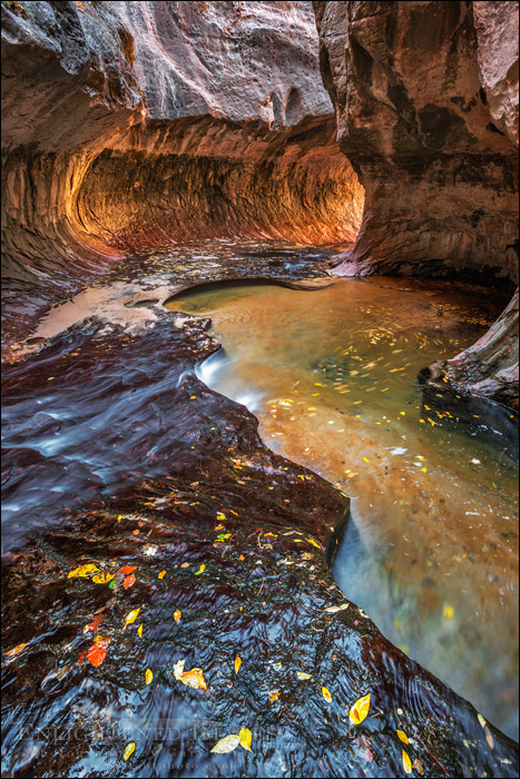 Image: Left Fork of North Creek at The Subway, Zion National Park, Utah
