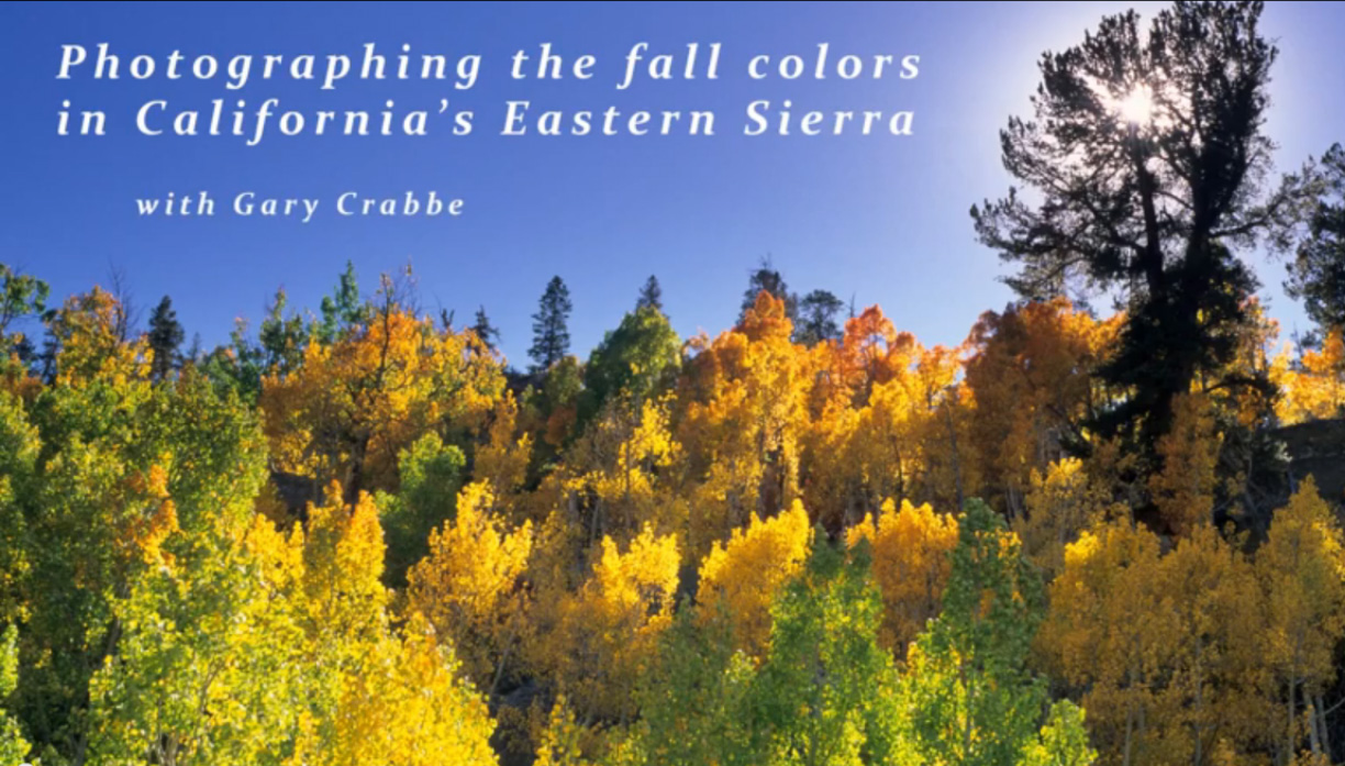 Image: video: Photographing fall colors in the Eastern Sierra, California