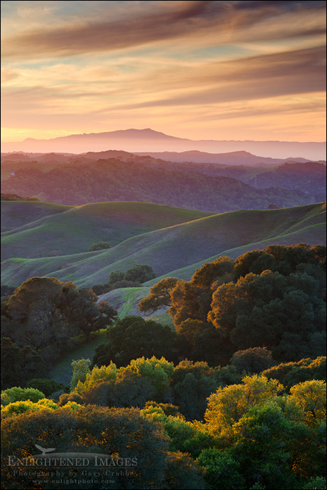 Image: Sunset over the green east bay hills looking toward Mount Tamalpais in distance, from Briones Regional Park, Contra Costa County, California
