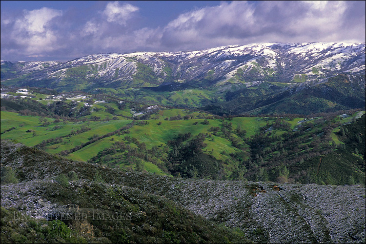 Image: Snow storm in spring dusting green rolling hills of rural Santa Clara County, California