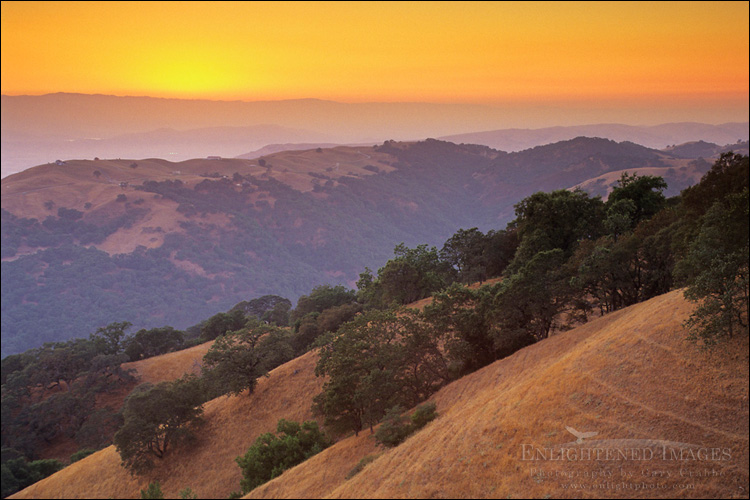 Image: Sunset light over oak trees and hills above Otis Canyon, from Palassou Ridge, Santa Clara County, California