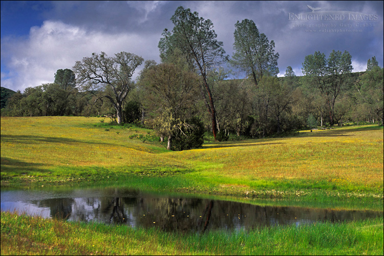Image: Spring in the San Antonio Valley, Santa Clara County, California