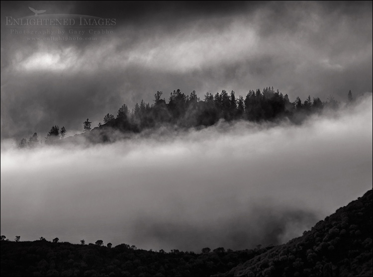 Image: Clearing storm clouds over forest, Whiskeytown National Recreation Area, Shasta County, California