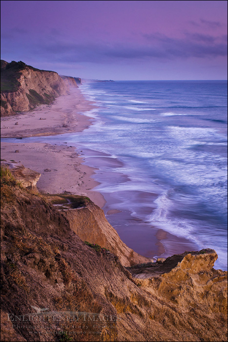 Image: Wildflowers on coastal cliffs at sunset, San Gregorio State Beach, San Mateo County coast, California