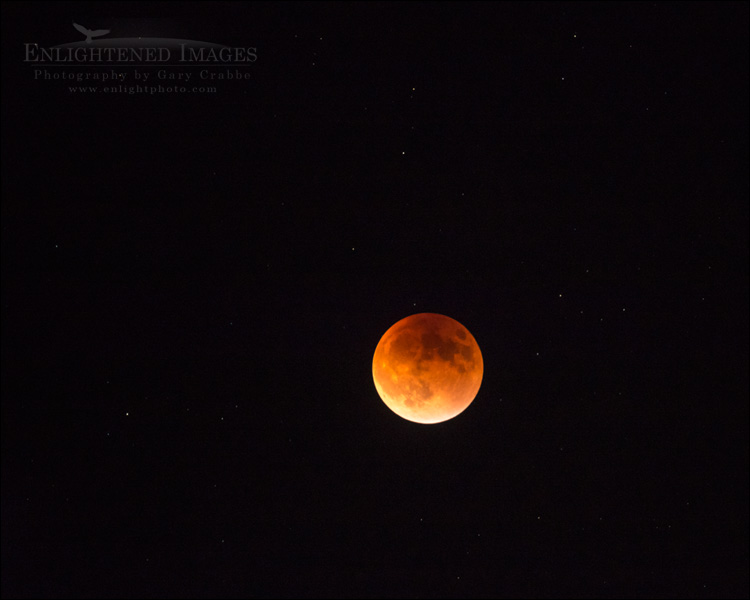 Image: Super-Blood-Harvest Moon during a Lunar Eclipse September 27, 2015