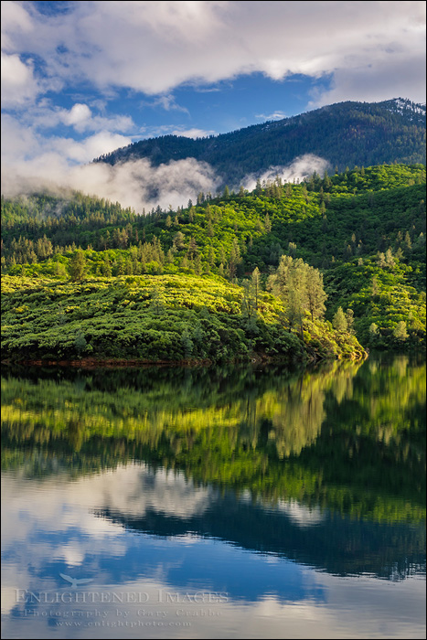 Image: Whiskeytown Lake, Whiskeytown National Recreation Area, Shasta-Trinity National Forest, Shasta County, California