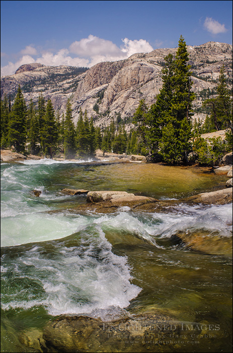 Image: Tuolumne River, Yosemite National Park, California