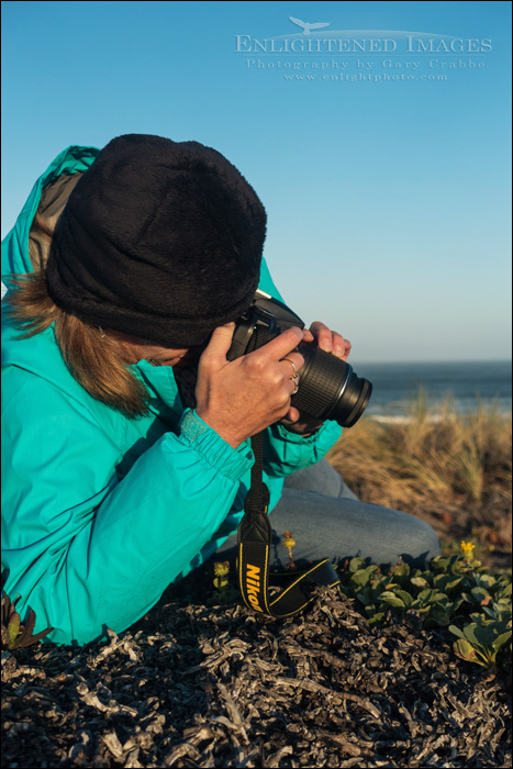 Image: Photographers at Point Reyes National Seashore, Marin County, California