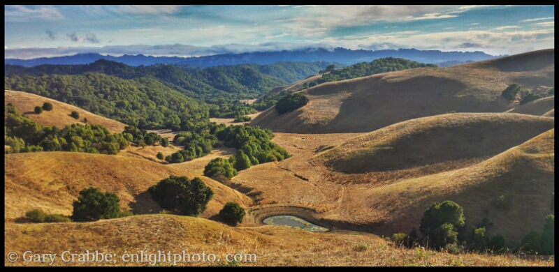 Image: Rolling hills over Briones Valley, Briones Regional Park, California