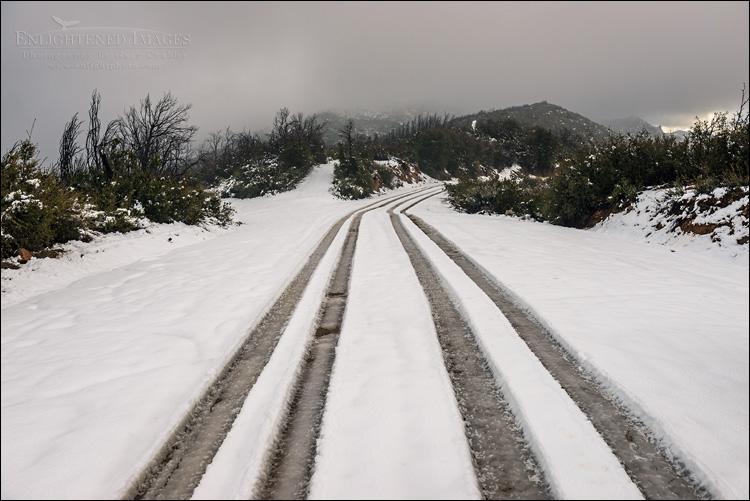 Image: Tire tracks through fresh snow of road through the Los Padres National Forest, Monterey County, California