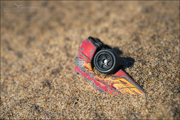 Image: Hot Wheel in sand, Kehoe Beach, Point Reyes National Seashore, Marin County, California