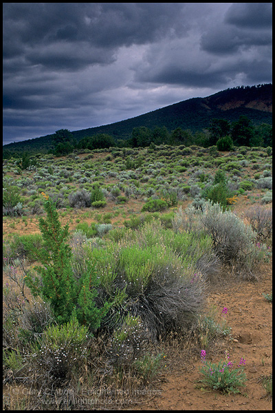 Photo: Storm clouds over sage on the Coconino Plateau, near the Grand Canyon, Arizona